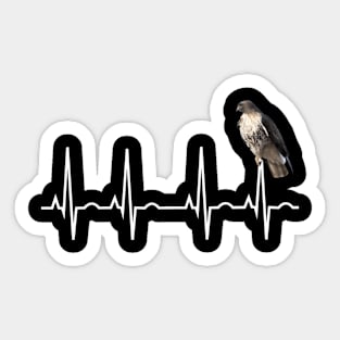 Red-Tail Hawk - Best Buteo Birder Sticker